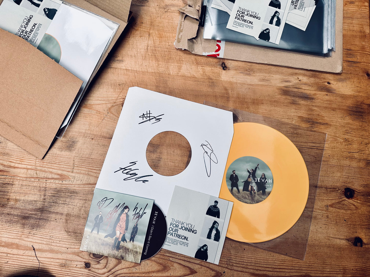 Platinum Patreon bundle Signed orange 10" vinyl + signed CD of the ‘IDSIC’ EP, and a Polaroid.